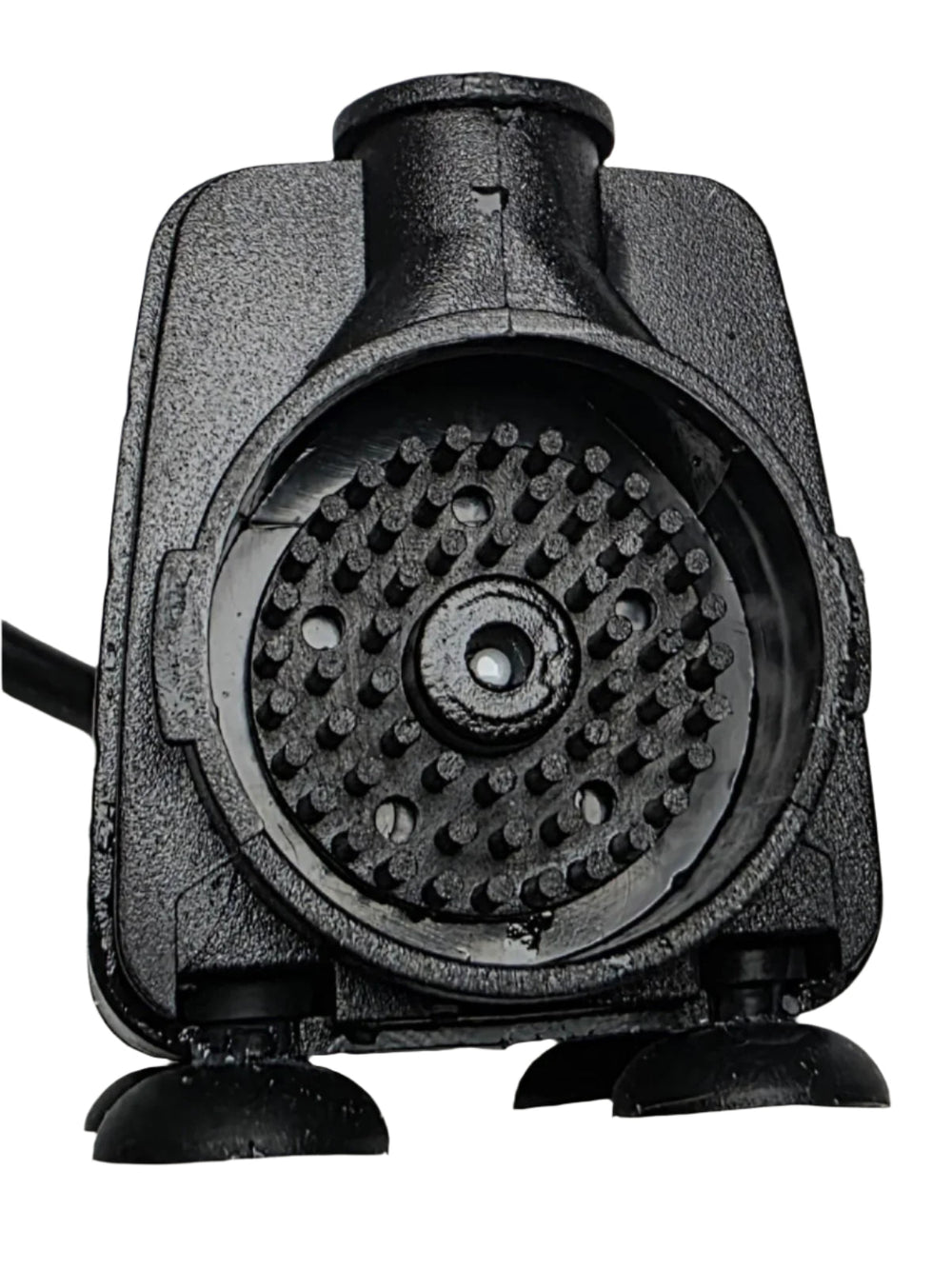 Protein Skimmer