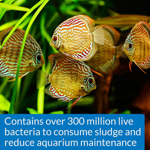 STRESS ZYME Freshwater and Saltwater Aquarium