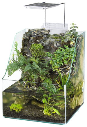 1.85 Gallons Glass Aquarium for Live Plants and Fish