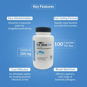Fish Mox 250mg Capsules for Aquarium Fish – Water Care Support