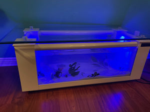 45 gallon GLASS rectangle table aquarium fish tank full setup