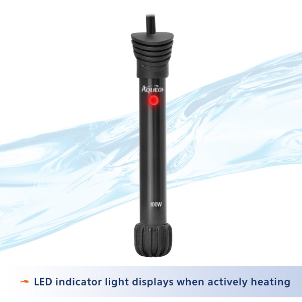 20 Gallon aquarium Starter Kit with LED Lighting