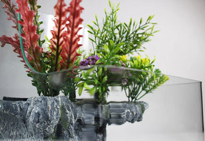 1.85 Gallons Glass Aquarium for Live Plants and Fish