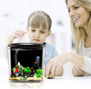 1.2 Gallon Betta Aquarium with LED Light and Filter Pump