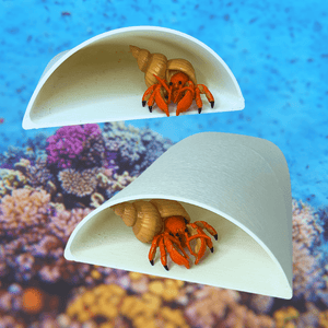 Aquarium or Terrarium Pocket Cave | Minimalist Shelter Cave for Fish, Shrimp, Reptiles, Amphibians, & More!