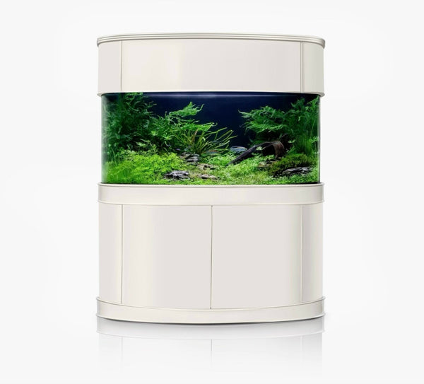 AQUA VIM Reef-Ready Bowfront Aquarium with Hand-Crafted Cabinet
