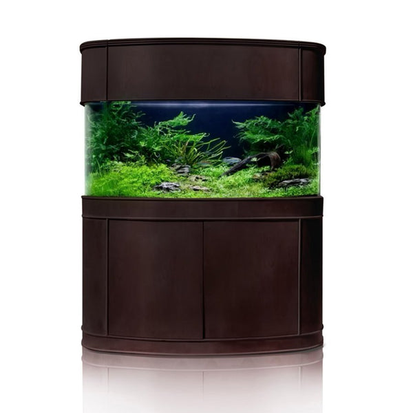 AQUA VIM Reef-Ready Bowfront Aquarium with Hand-Crafted Cabinet