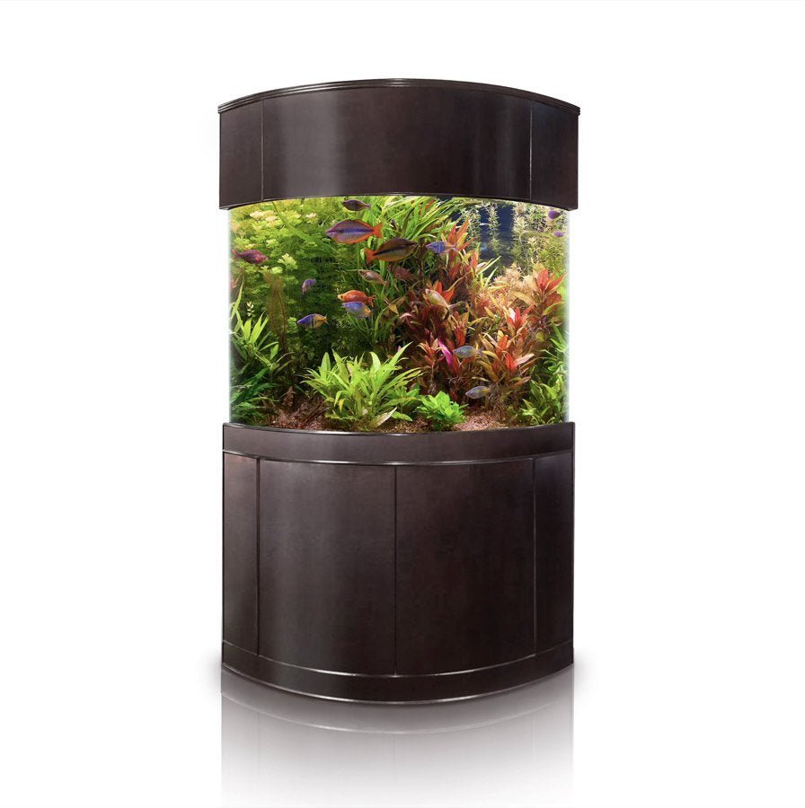 AQUA VIM Reef-Ready Corner Aquarium with Hand-Crafted Cabinet