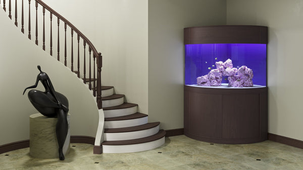 AQUA VIM Reef-Ready Corner Aquarium with Hand-Crafted Cabinet