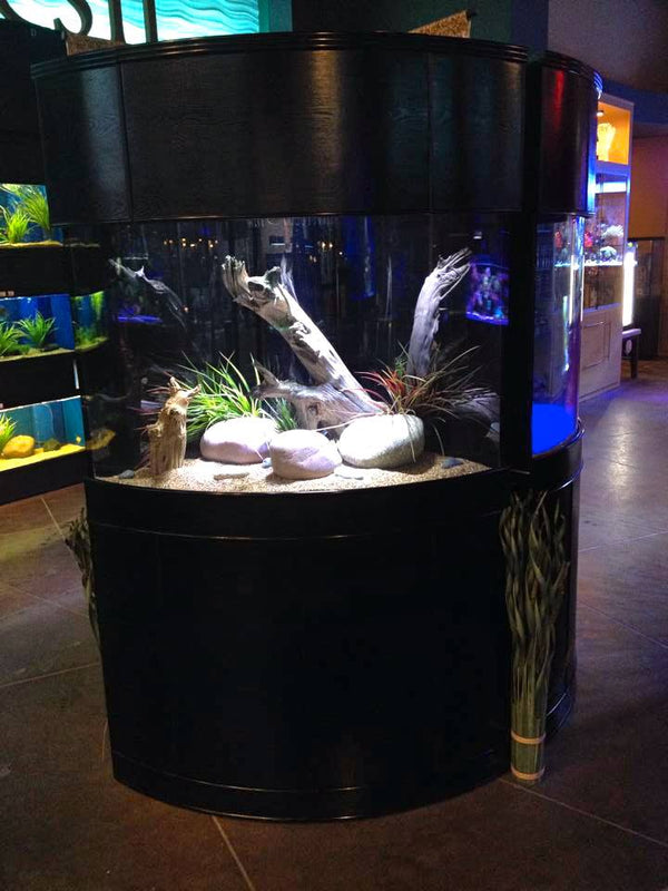 AQUA VIM Reef-Ready Corner Aquarium with Hand-Crafted Cabinet