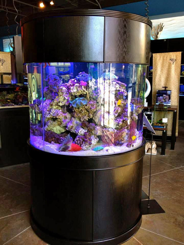 AQUA VIM 360° Cylinder Aquarium with Hand-Crafted Cabinet