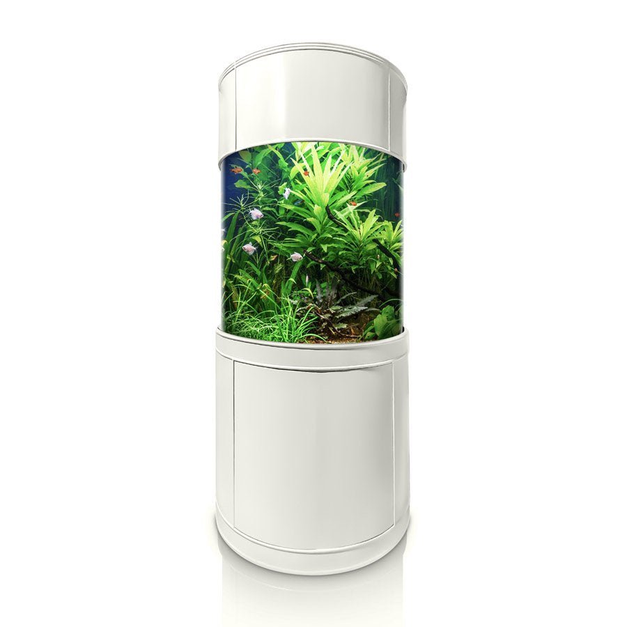 AQUA VIM 360° Cylinder Aquarium with Hand-Crafted Cabinet