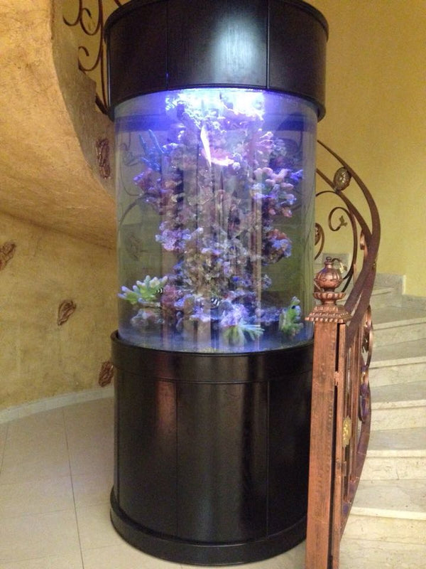 AQUA VIM 360° Cylinder Aquarium with Hand-Crafted Cabinet