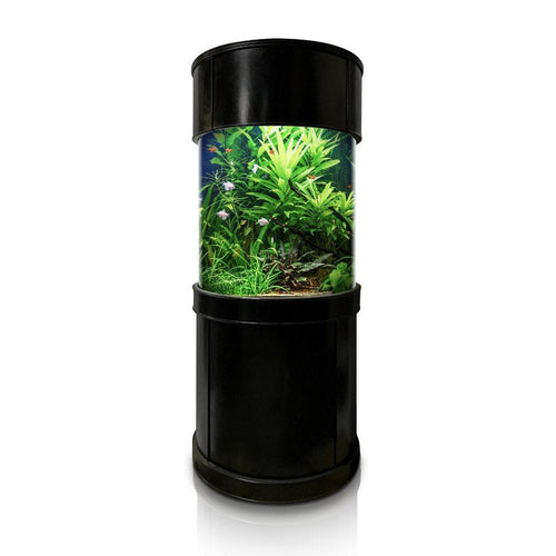 AQUA VIM 360° Cylinder Aquarium with Hand-Crafted Cabinet