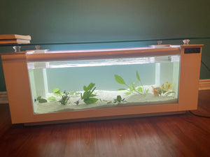 45 gallon GLASS rectangle table aquarium fish tank full setup
