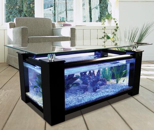 45 gallon GLASS rectangle table aquarium fish tank full setup